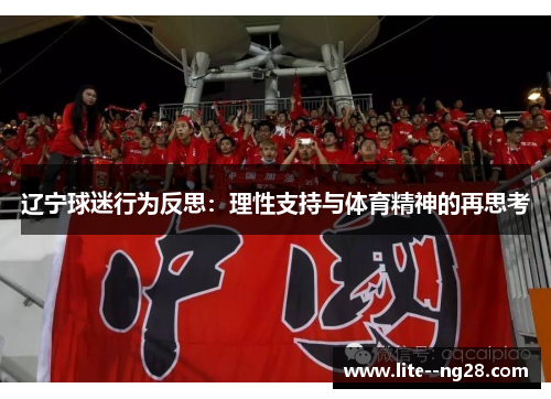 辽宁球迷行为反思：理性支持与体育精神的再思考