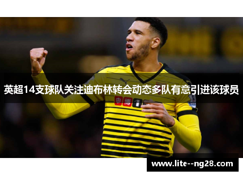英超14支球队关注迪布林转会动态多队有意引进该球员