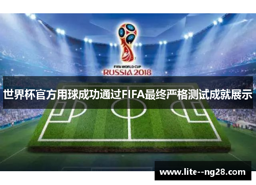 世界杯官方用球成功通过FIFA最终严格测试成就展示